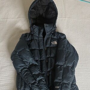 The North Face Dark blue Hooded Puffer Jacket